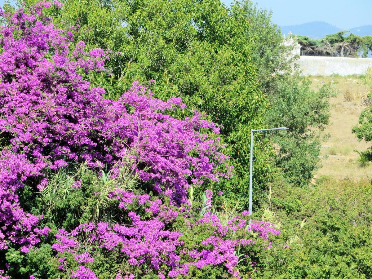 Cais Apartment By Stay In Alentejo Vila Nova de Milfontes Zewnętrze zdjęcie